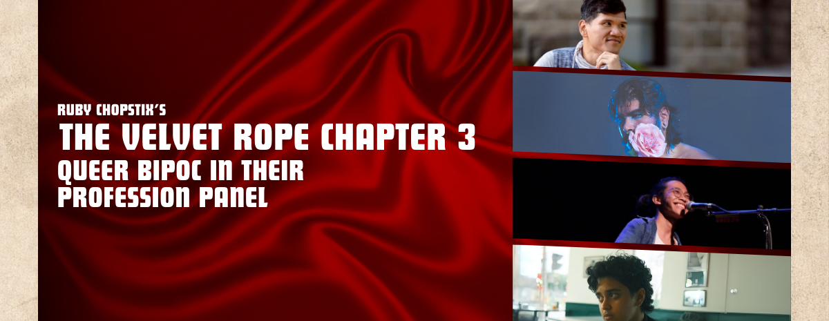 Queer BIPOC in their Profession Panel